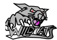Wildcat5
